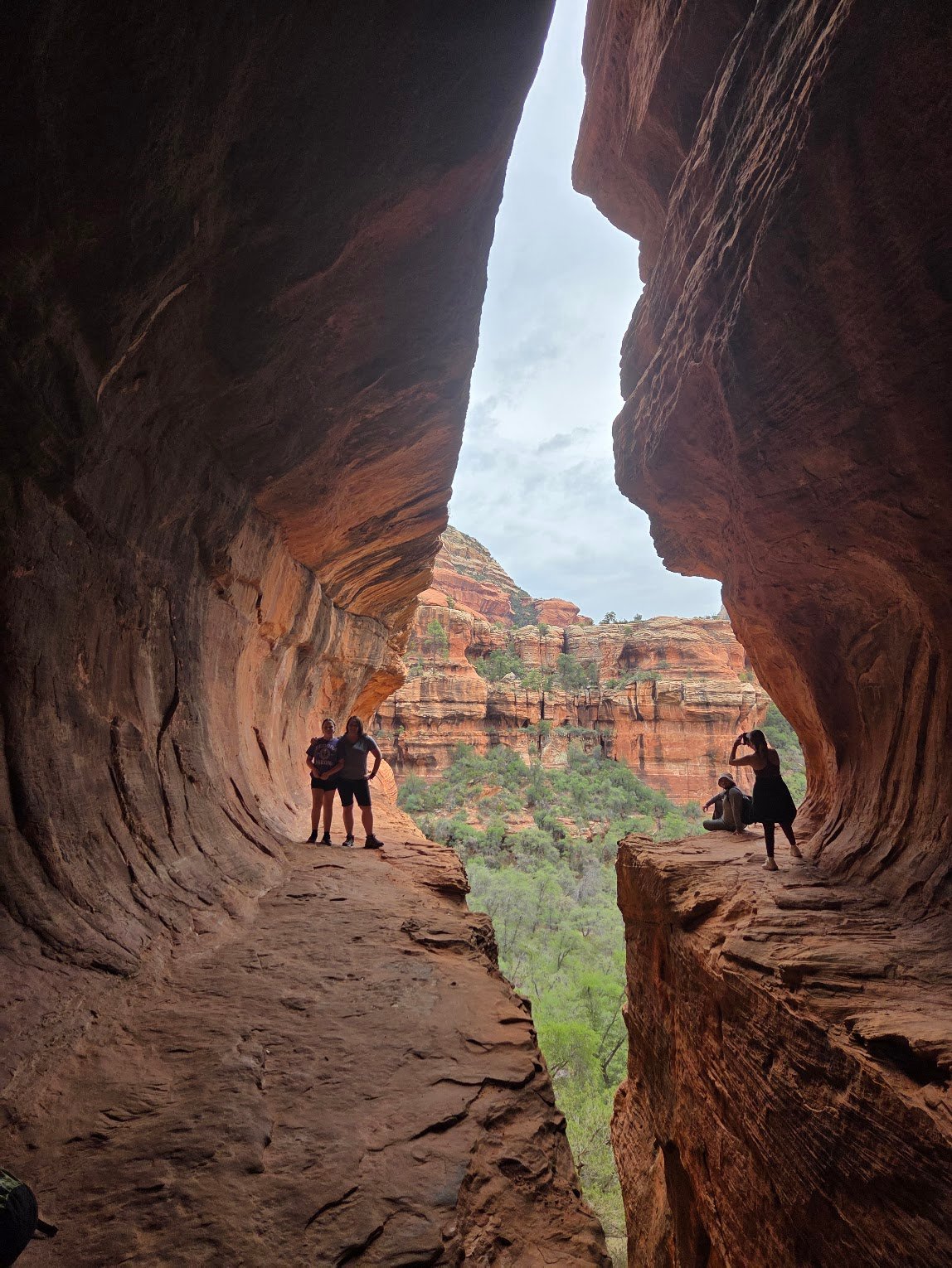 Hikers standing in a red rock canyon overlooking green trees